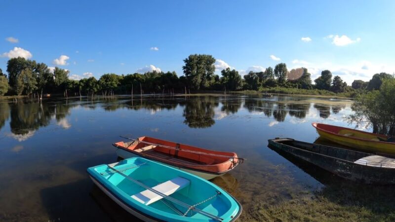 Šodroš Novi Sad